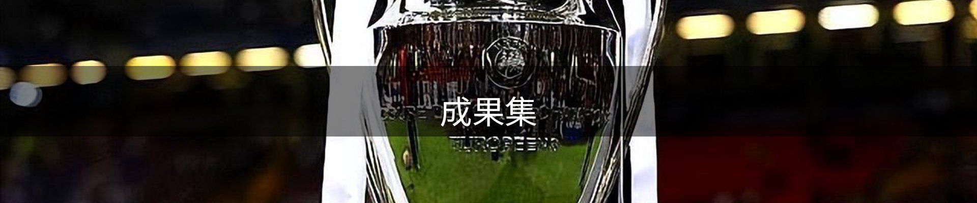 成果集